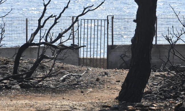 Αποκάλυψη σοκ – «Κάντε ό,τι νομίζετε»: Η απάντηση της Πυροσβεστικής σε όσους καίγονταν